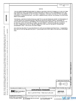 SAE AS21945 PDF