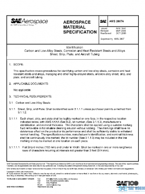 SAE AMS2807A PDF