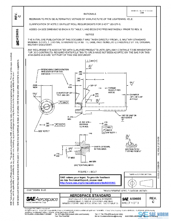SAE AS9696C PDF