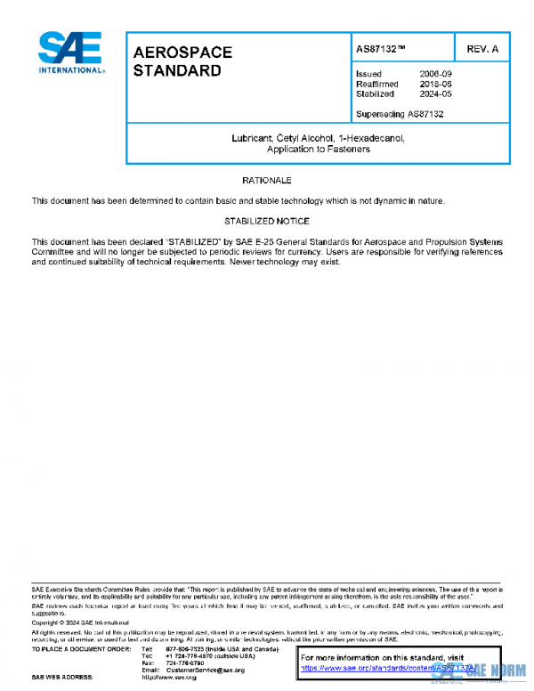 SAE AS87132A PDF