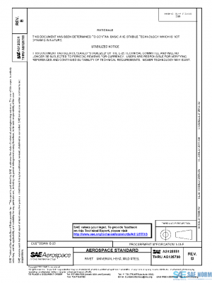 SAE AS125551B PDF