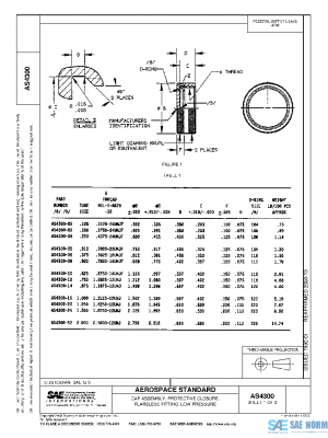 SAE AS4300 PDF