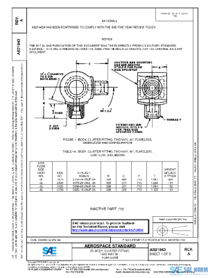 SAE AS21943A PDF