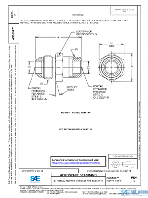 SAE AS5194E PDF