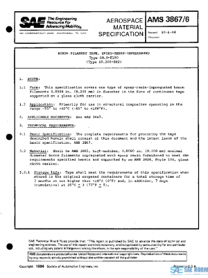 SAE AMS3867/6 PDF