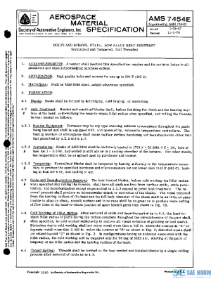 SAE AMS7454E PDF