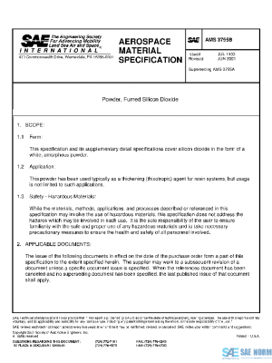 SAE AMS3755B PDF