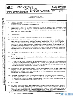 SAE AMS2401B PDF