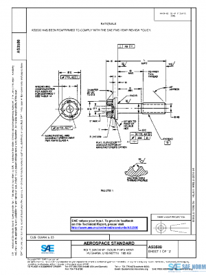 SAE AS3580 PDF