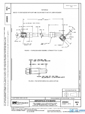 SAE AS5953B PDF