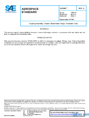 SAE AS1960A PDF