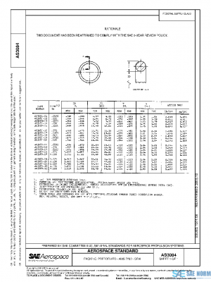 SAE AS3084 PDF