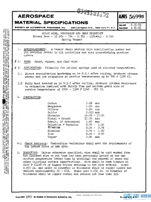 SAE AMS5699B PDF