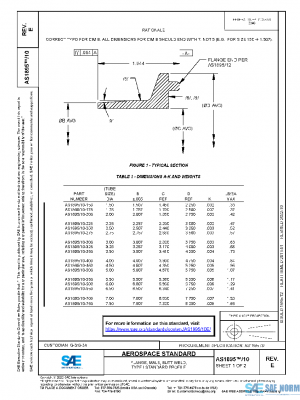 SAE AS1895/10E PDF