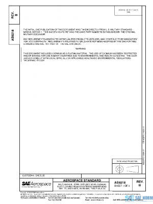 SAE AS9218B PDF