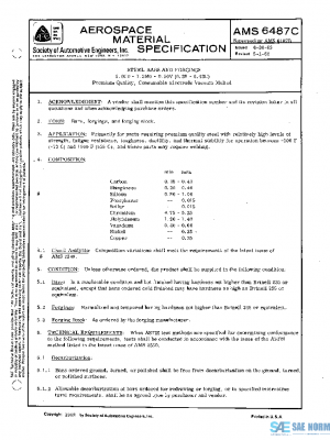 SAE AMS6487C PDF