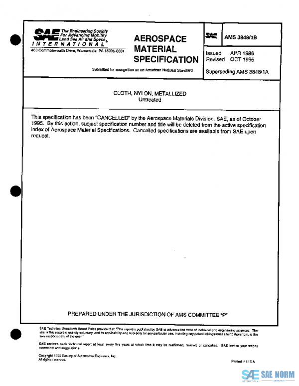 SAE AMS3848/1B PDF
