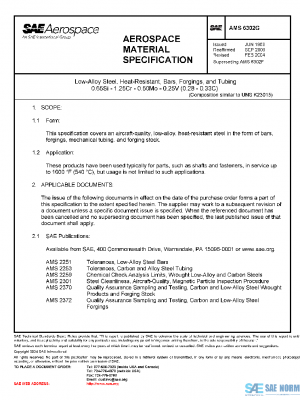 SAE AMS6302G PDF