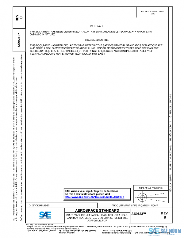 SAE AS9533B PDF SAE AS9533B PDF