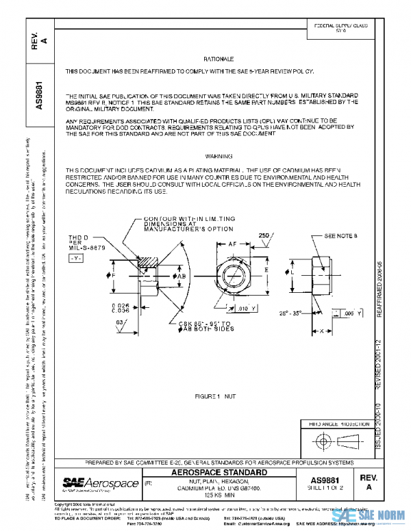 SAE AS9881A PDF