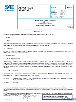 SAE AS7228B PDF