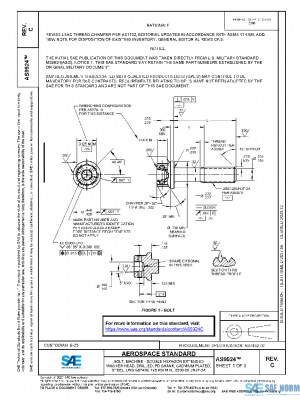 SAE AS9924C PDF
