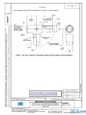 SAE AS6485 PDF