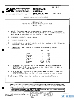SAE AMS2431/4 PDF
