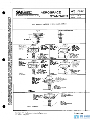 SAE AS1009C PDF