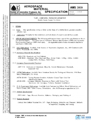 SAE AMS3809 PDF