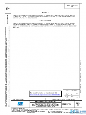 SAE AS5419/9B PDF