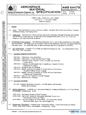 SAE AMS6447B PDF