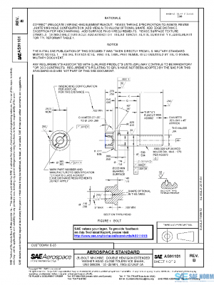 SAE AS91101B PDF
