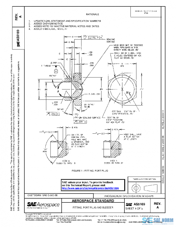 SAE AS5169A PDF