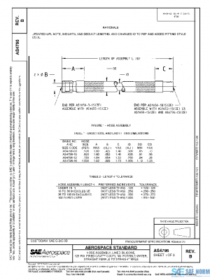 SAE AS4796B PDF