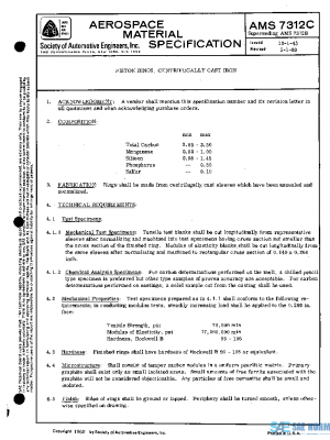 SAE AMS7312C PDF
