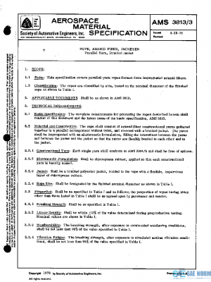 SAE AMS3813/3 PDF