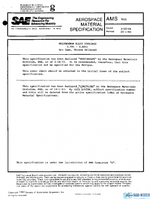 SAE AMS7821 PDF