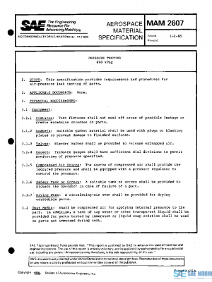 SAE MAM2607 PDF