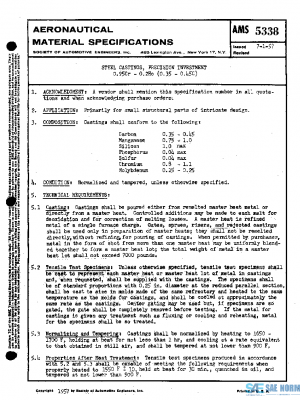 SAE AMS5338 PDF