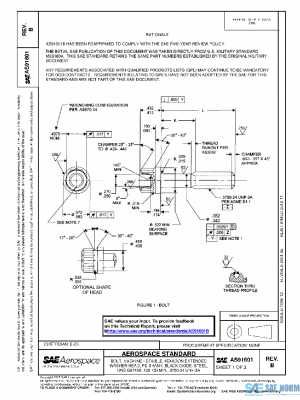 SAE AS91601B PDF