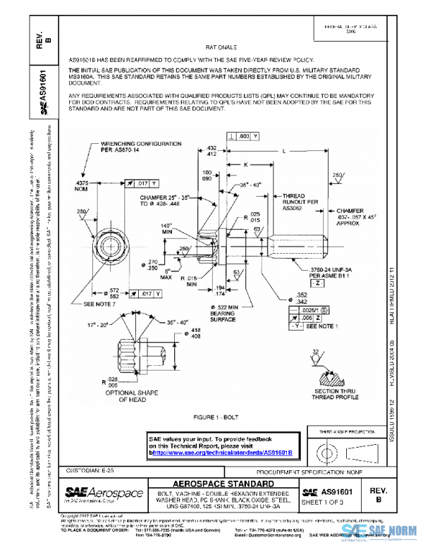 SAE AS91601B PDF