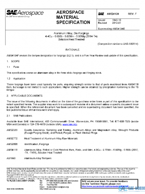 SAE AMS4134F PDF