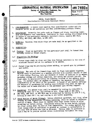SAE AMS7493B PDF