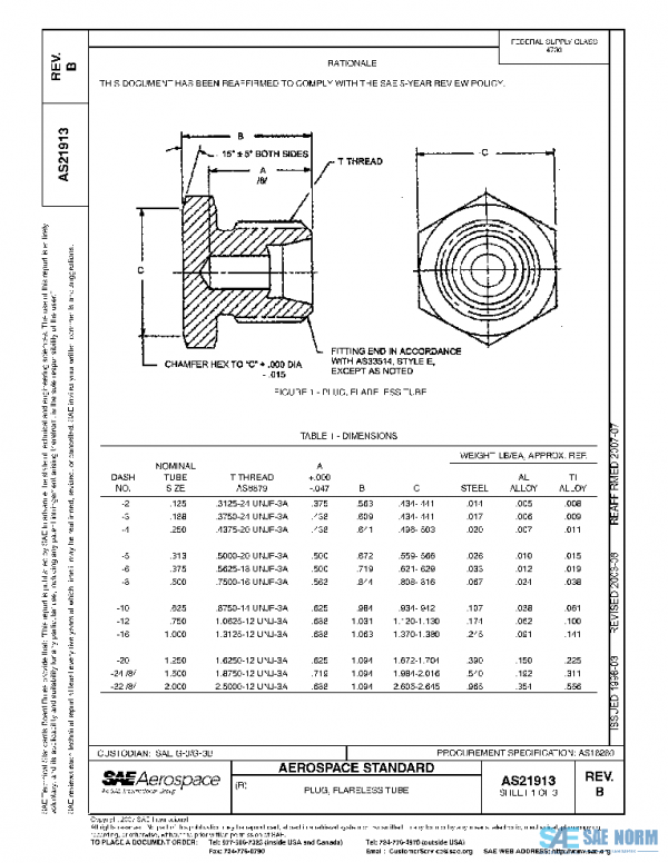 SAE AS21913B PDF
