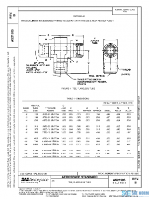 SAE AS21905B PDF