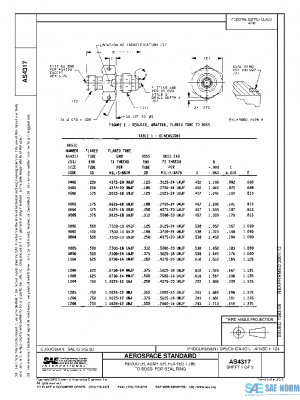 SAE AS4317 PDF