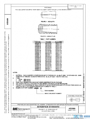 SAE AS3589 PDF
