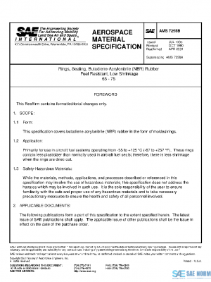 SAE AMS7258B PDF
