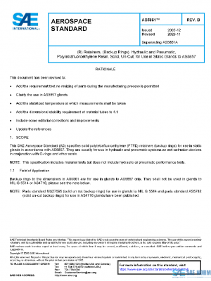 SAE AS5861B PDF